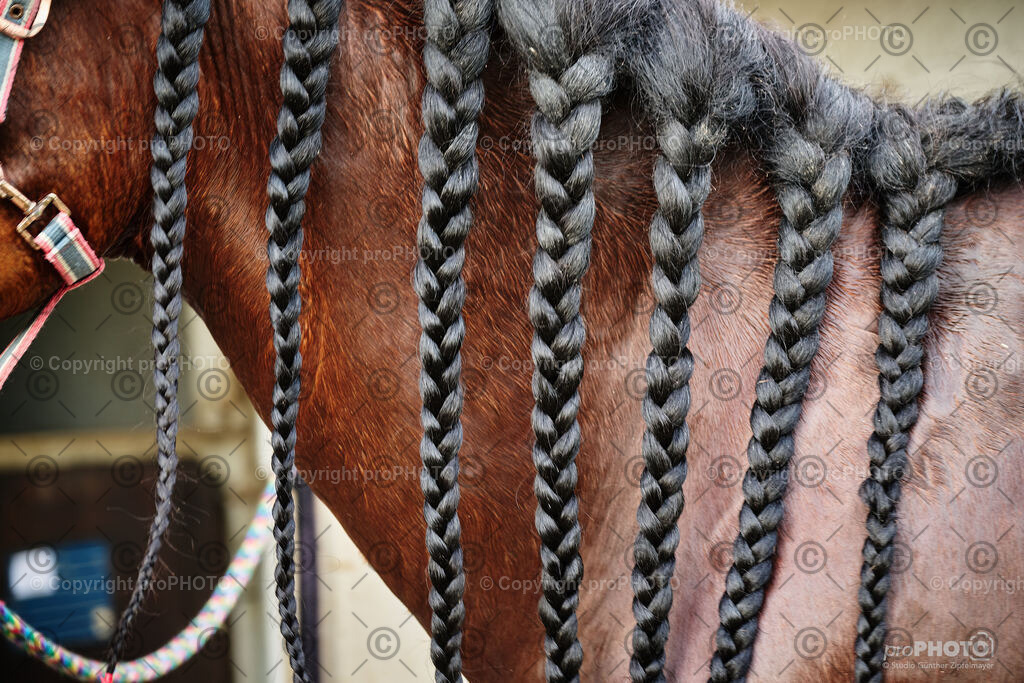 421_202406_Niki-Herodes_NZ9_0510 | proPHOTO - Realisiert mit Pictrs.com