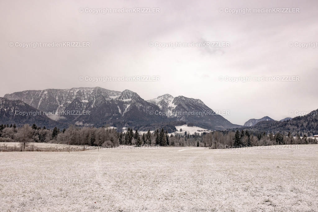 _J3A9924 | medienkrizzler - Realisiert mit Pictrs.com