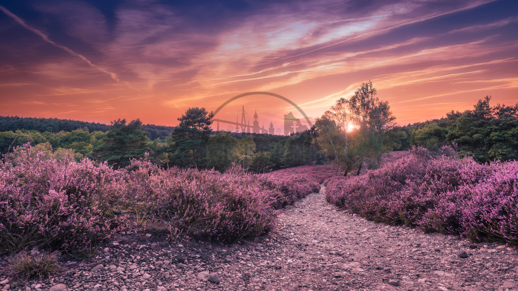 Natur-in-Bildern-by-stativkunst.de-010 | Exklusive Hamburg collagen, tolle Segelbilder und viele weitere tolle Motive auf Leinwand, Poster, Alu-Dibond, u.v.m. findet Ihr bei uns auf hamburgbild.de. Findet Euer Wandbild für Euer Zuhause, Büro oder die  Praxis…. - Realisiert mit Pictrs.com