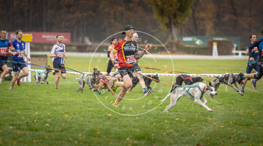 CaniXpix_DV3A9478 | Hundefotografie, Tierfotograf, Pfotenfotografie, Fotoshooting Hund, Hunde Portrait, Hundesport, Hundeportraits, Heideshooting, Hunde, Sportfotograf, Hundefotograf, Turnierhundsport, THS,  - Realisiert mit Pictrs.com