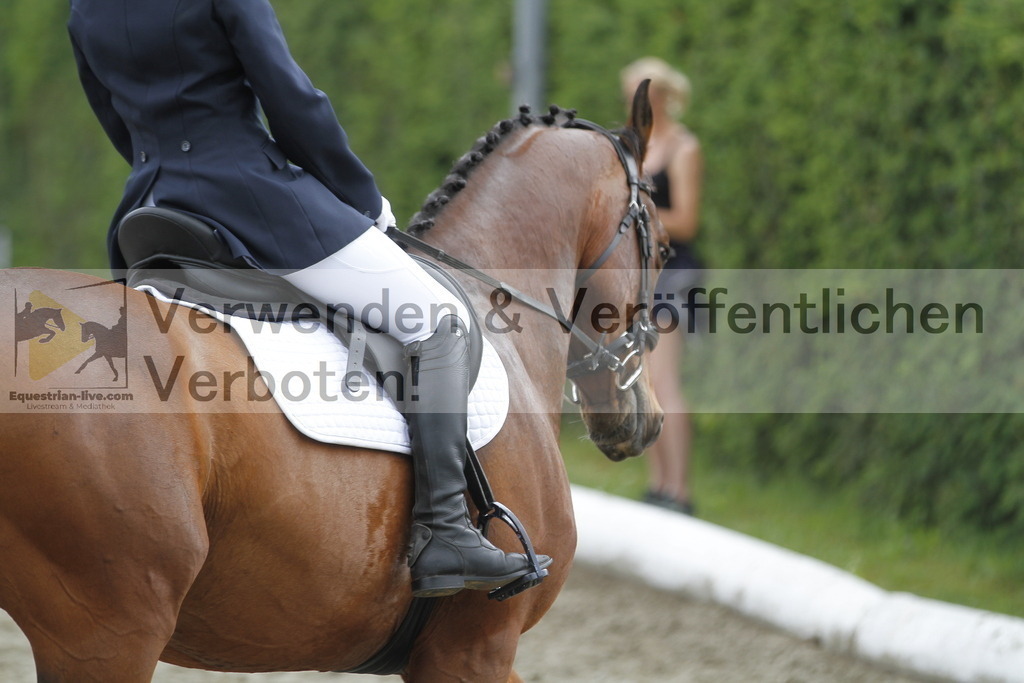 _MG_1129 | equestrian-live-com