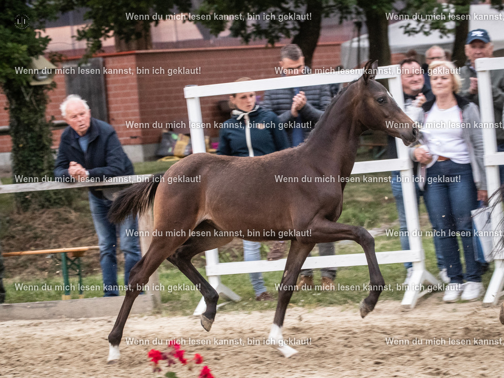 A10I7457 | photographylinaismer - Realisiert mit Pictrs.com