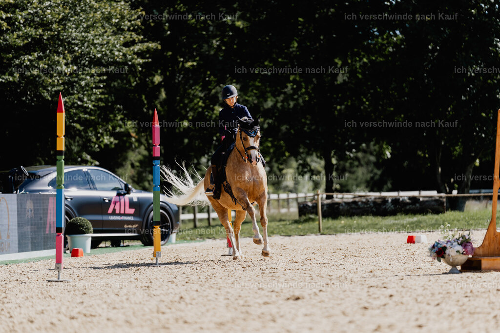 Nici11_FHC2025-09063 | working equitationturnier fotograf videograf stoibphotography marixx film working equitation deutschland reitsport turnierfotografie eventfotografie equestrian events