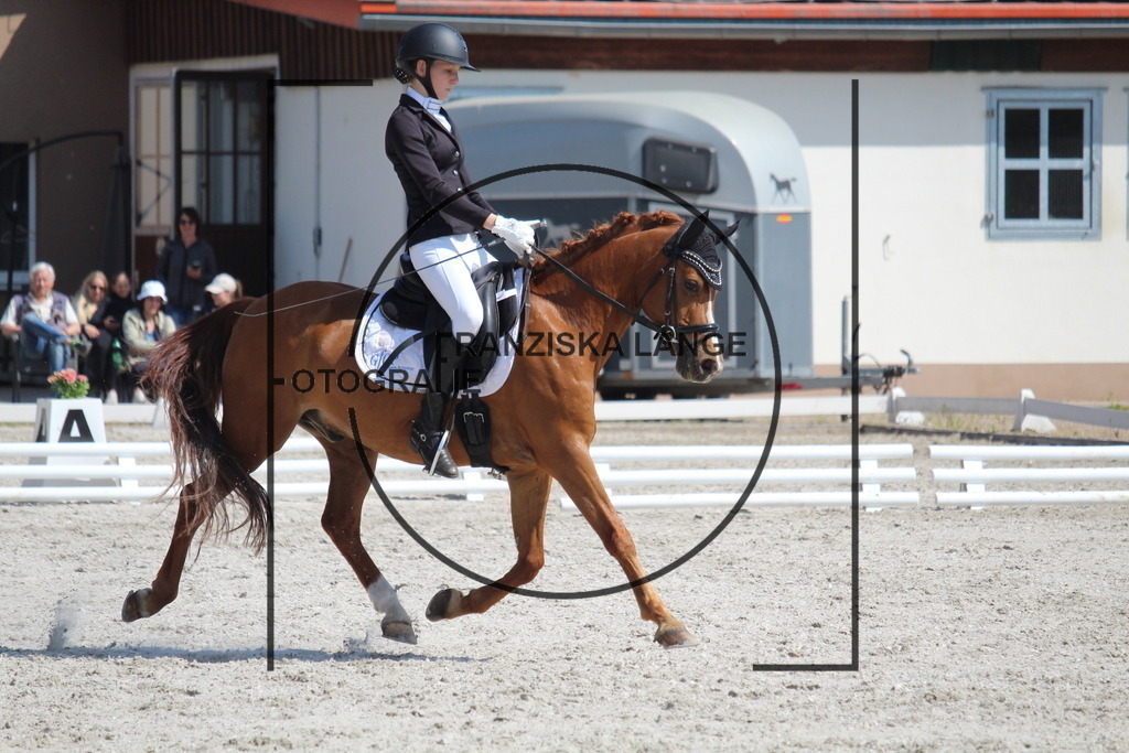 IMG_3395 | franziskalange - Realisiert mit Pictrs.com