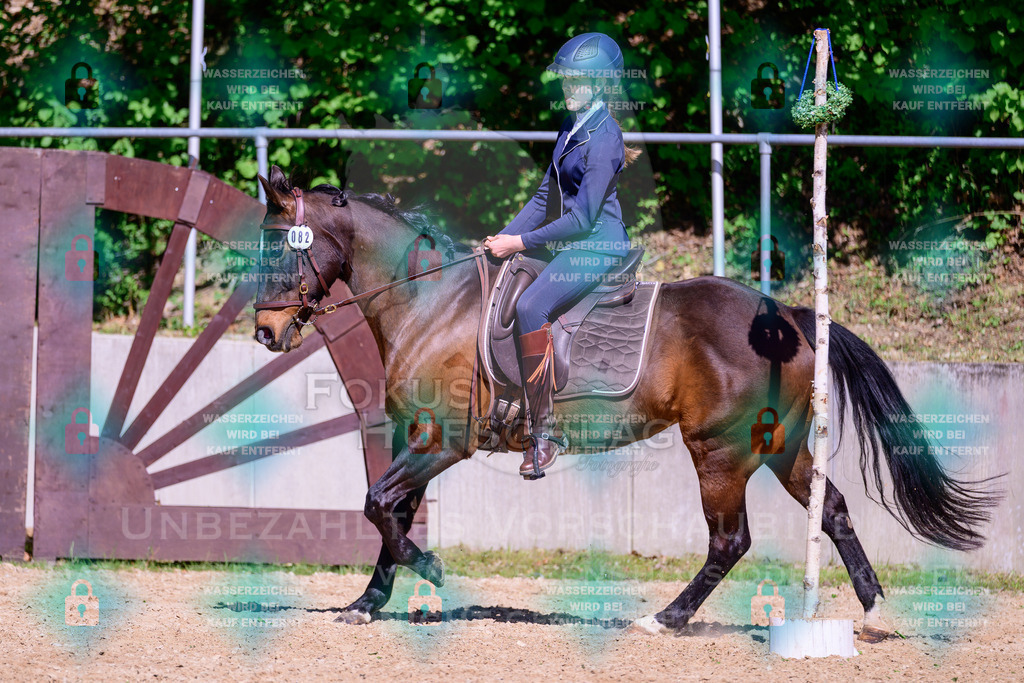 01052026-Giesenbach-02-Stiltrail-0664 | Fokus Hufschlag Fotografie - Realisiert mit Pictrs.com