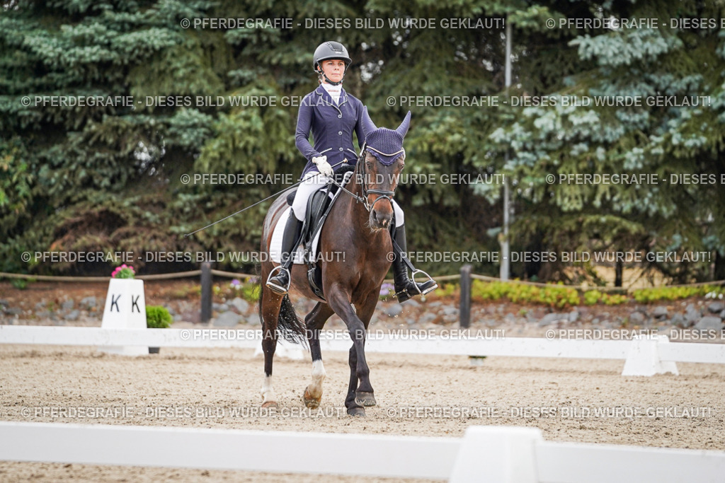 DSC01177 | Pferdegrafie