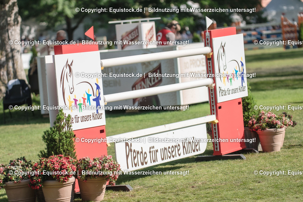 DSC_1342 | equistock