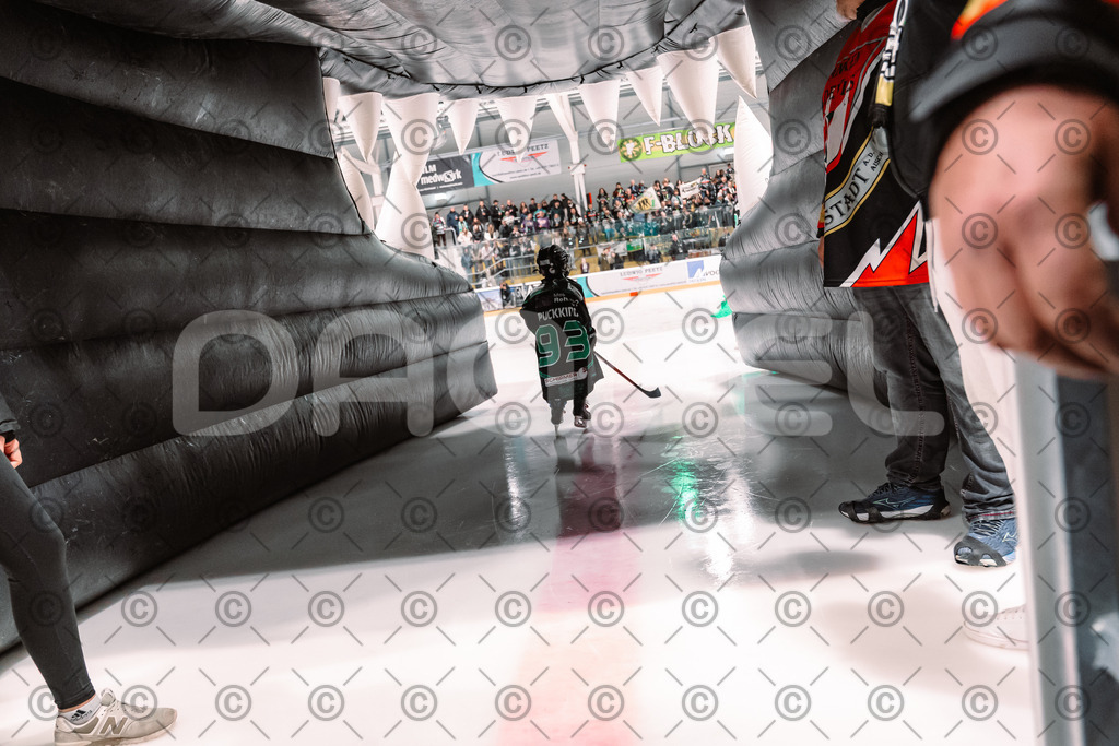 Alligators_vs_Stuttgart_16_11_2025-26 | Höchstadt Alligators Fotogalerie: Eishockey-Action aus Franken. Professionelle Spielfotos, Portraits & Stadionbilder zum Download. Jetzt entdecken! - Realisiert mit Pictrs.com