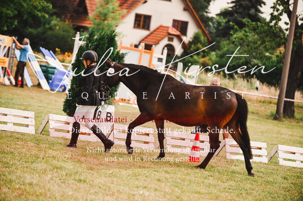 DSC_5868 | Pferde- und Turnierfotografie in Westsachsen. Pferdeportraits, Auftragszeichnungen und intuitive Kunst.
