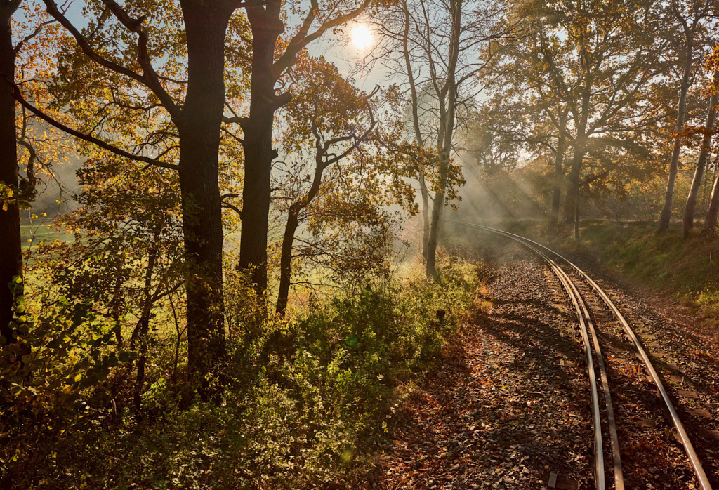 Unterwegs mit der Lößnitzgrundbahn 02 | Fotos als Raumschmuck - Realisiert mit Pictrs.com