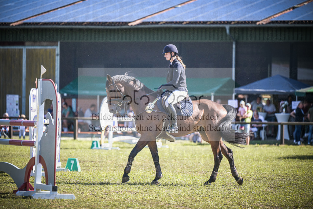 DOS_0011 | Entdecke hochwertige Reitturnierfotos von Foto Oger. Professionell, emotional und authentisch – jetzt Lieblingsmomente im Shop bestellen.Deutschlandweite Turnierfotografie. - Realisiert mit Pictrs.com