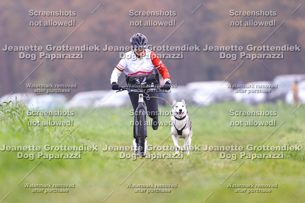 Dog Paparazzi - Visbeck 25 -312 | Dog Paparazzi Jeanette Grottendiek Fotografie & Videografie - Realisiert mit Pictrs.com