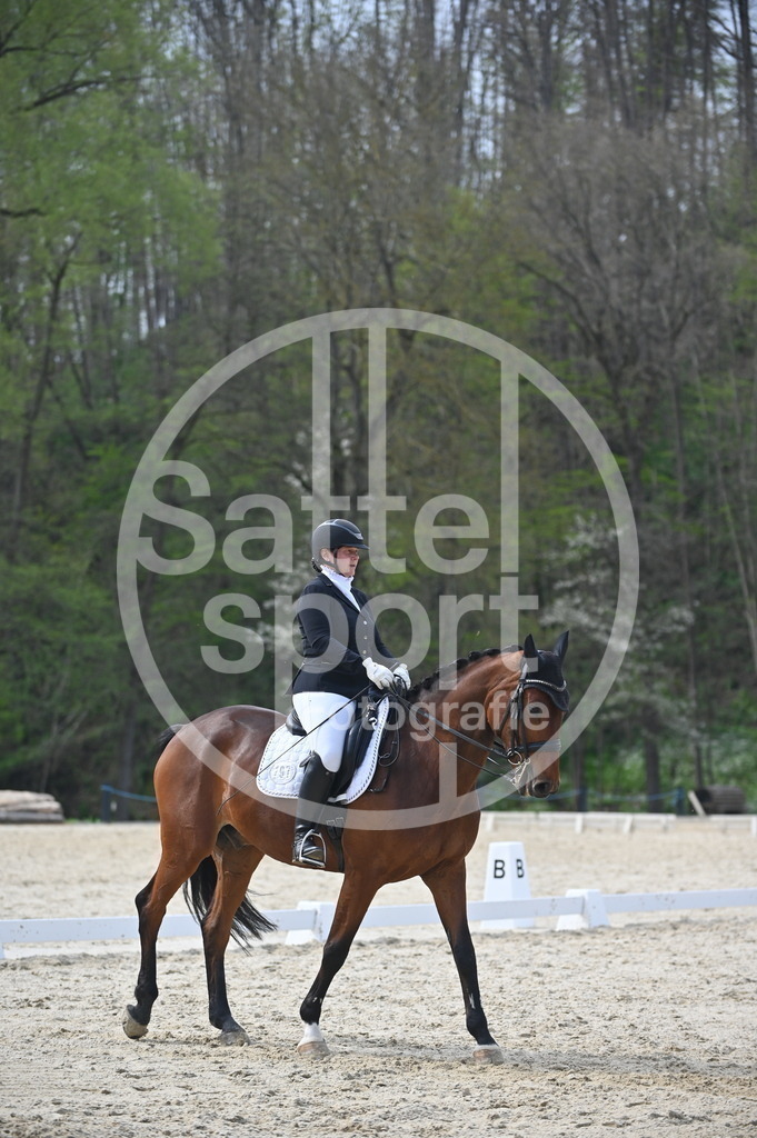 DSC_4658 | sattelsport - Realisiert mit Pictrs.com