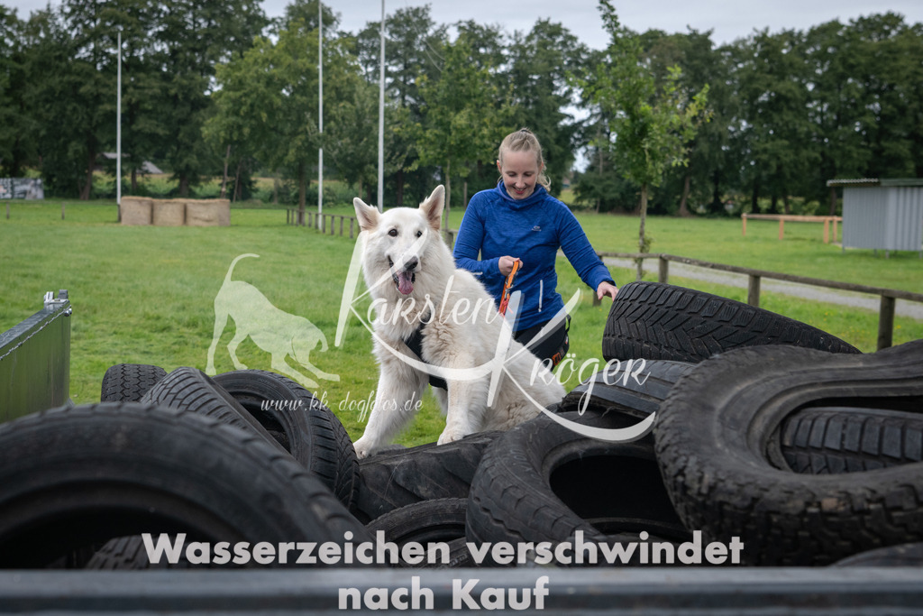 1215_ZZ94993 | kk-dogfotos
