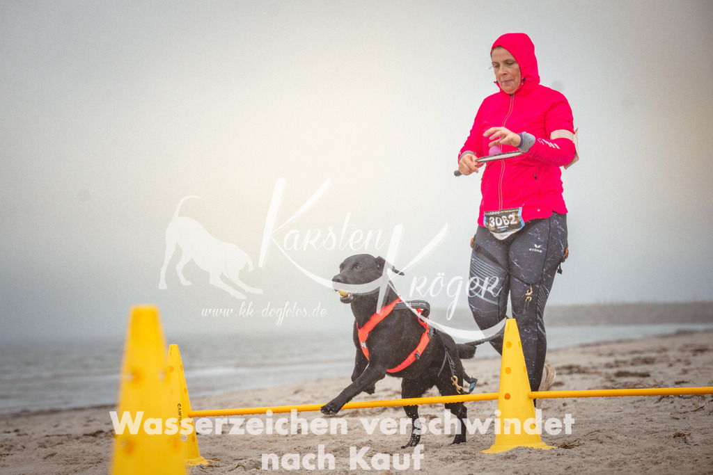 1107_ZZ96784 | kk-dogfotos