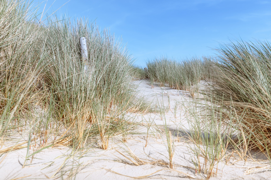 20240506-160920 NORDSEE SPO _033-1 | Herzlich willkommen auf meiner Seite! Ich bin Elke Wallnisch, Deine Fotografin für lichtstarke Momente. Der Name steht für alles, was mich mit der Fotografie verbindet: Das Licht und seine machtvolle Wirkung auf eine Situation oder unsere Stimmung - Realisiert mit Pictrs.com