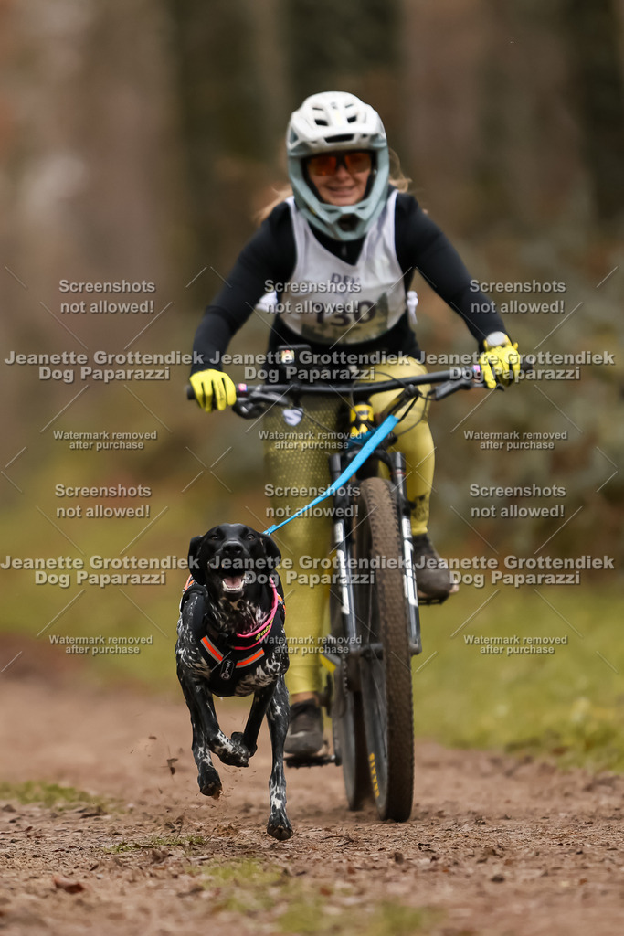 Dog Paparazzi - Speedhunter Mannheim  2025-364 | Dog Paparazzi Jeanette Grottendiek Fotografie & Videografie