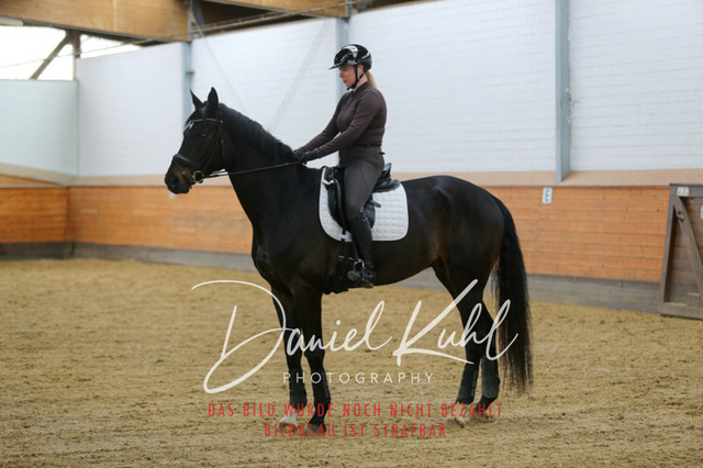IMG_3720 | Turniersportfotografie; Pferdefotografie; Dressurfotografie