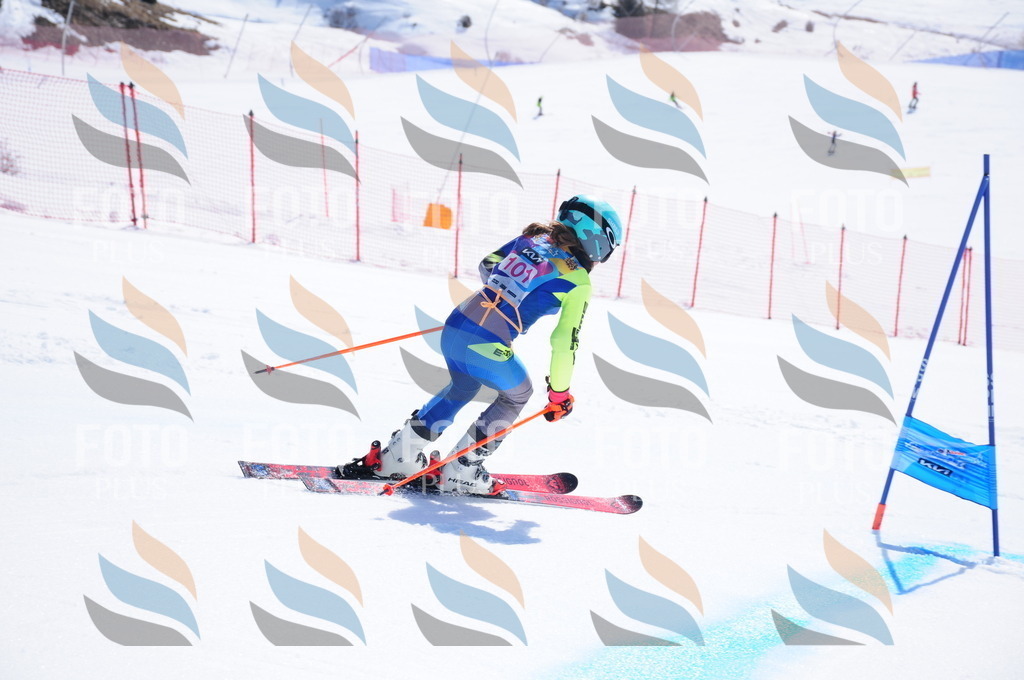 DSC_4764 | holidayphoto