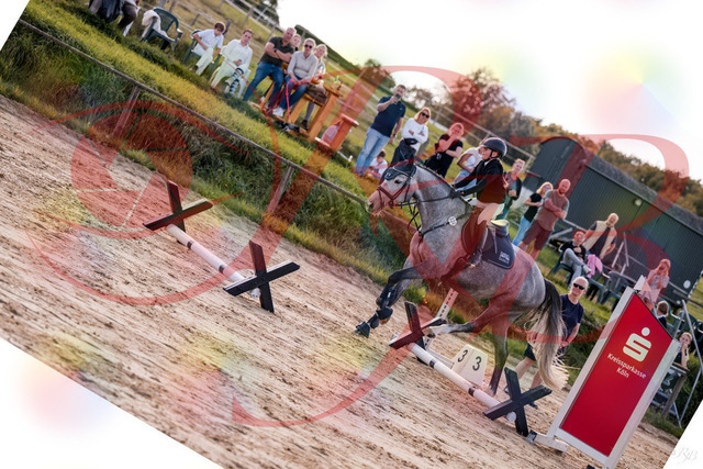 2026_10_03_Siefer-Hof_145110_Z81_29555032 | Professionelle Reitsport-, Turnier- und Eventfotografie von Robert Broda. Galerien mit ausgewählten und bearbeiteten Bildern direkt online ansehen und bestellen.