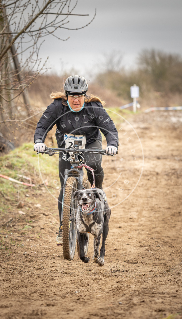 DV3A0740 | Hundefotografie, Tierfotograf, Pfotenfotografie, Fotoshooting Hund, Hunde Portrait, Hundesport, Hundeportraits, Heideshooting, Hunde, Sportfotograf, Hundefotograf, Turnierhundsport, THS,  - Realisiert mit Pictrs.com