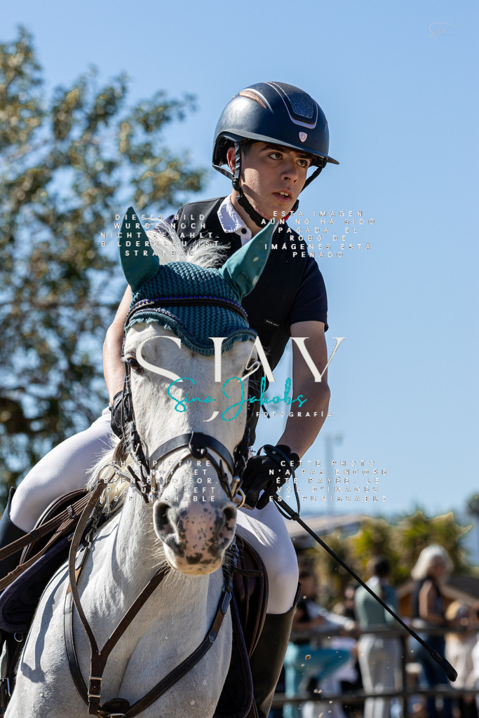 IMG_0229 | s-jay-photography - Realisiert mit Pictrs.com