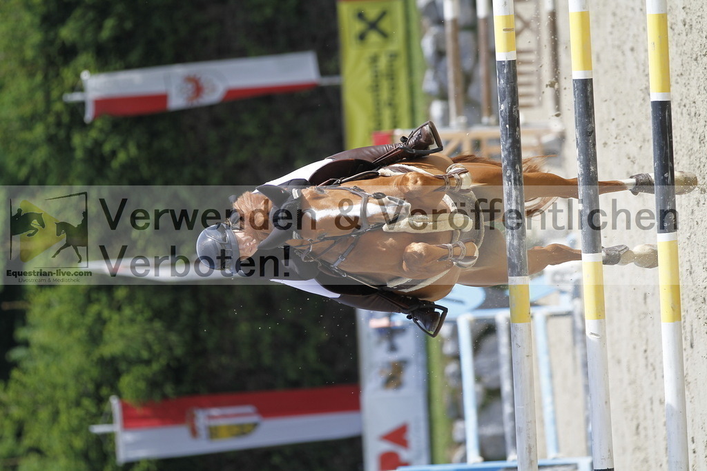 _MG_8770 | equestrian-live-com
