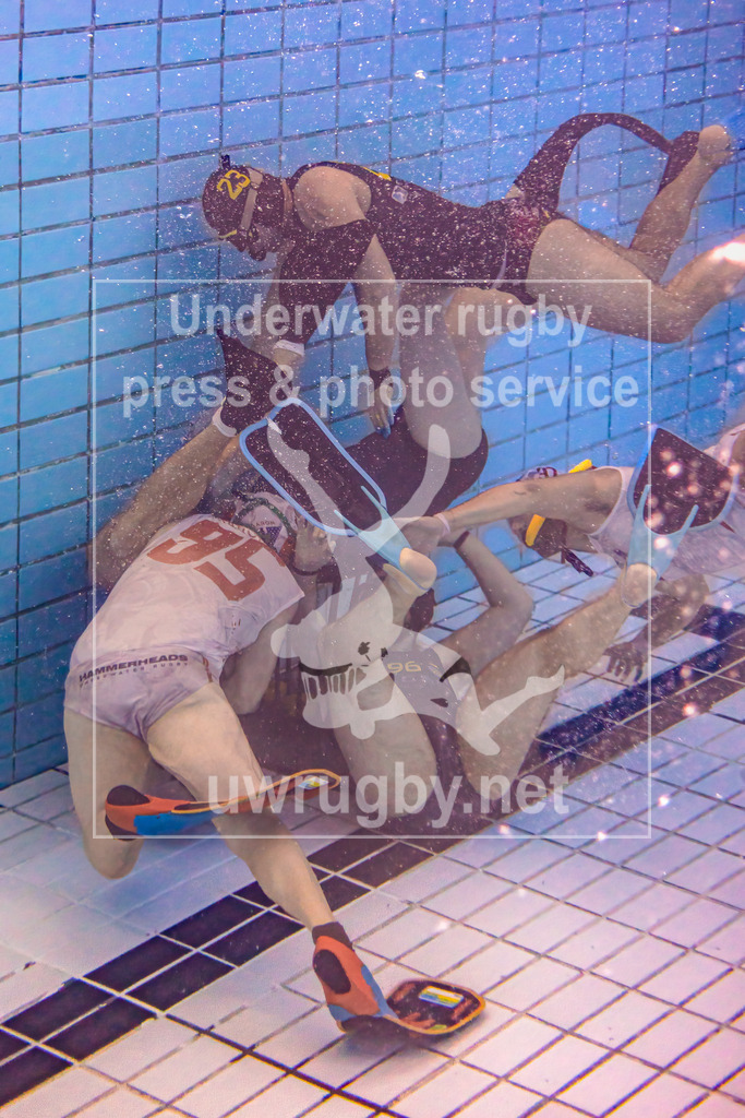 24. - 26.11.2023: Unterwasser-Rugby Champions Cup 2023  | DUC Krefeld (Deutschland) in blau gegen NJ Hammerheads (USA) in weiß. Die weiße amerikanische Nummer 95 Aaron Davis greift das Tor des Deutschen Meister Krefeld an. - Realisiert mit Pictrs.com