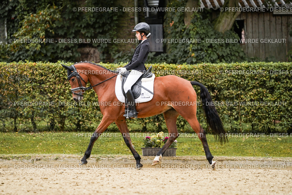 DSC07866 | Pferdegrafie