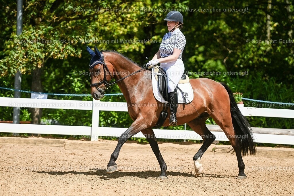 20230715_02_Dressurreiterprüfung Kl.L_0143 | equistock