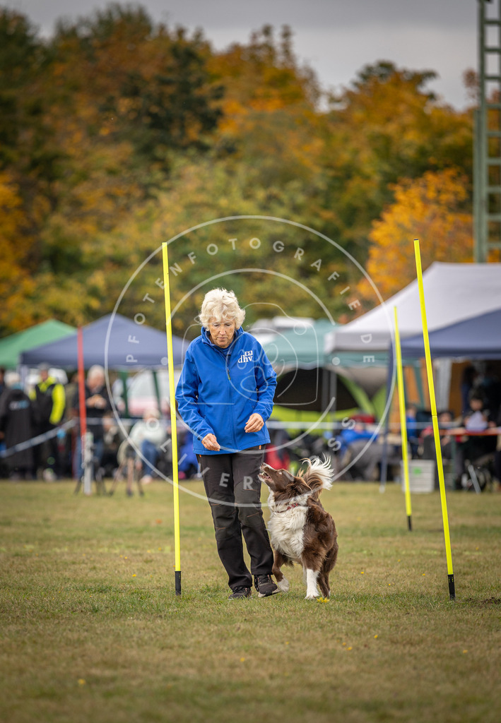 Pfotenfotografie_DV3A6039 | Hundefotografie, Tierfotograf, Pfotenfotografie, Fotoshooting Hund, Hunde Portrait, Hundesport, Hundeportraits, Heideshooting, Hunde, Sportfotograf, Hundefotograf, Turnierhundsport, THS,  - Realisiert mit Pictrs.com