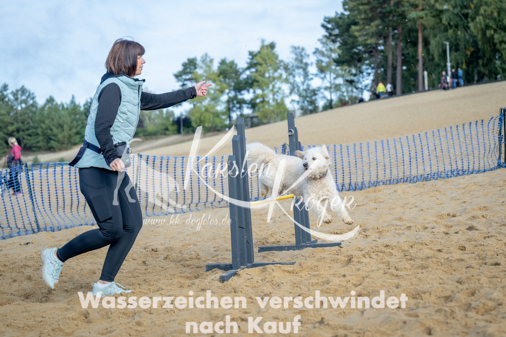 0955_ZZ93138 | kk-dogfotos