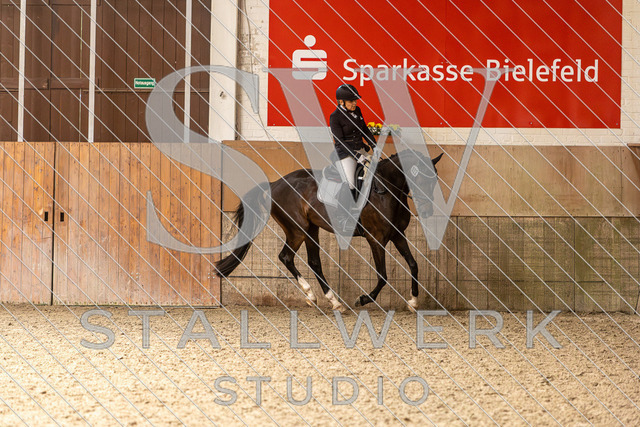 2L2A4309 | stallwerkstudio - Realisiert mit Pictrs.com