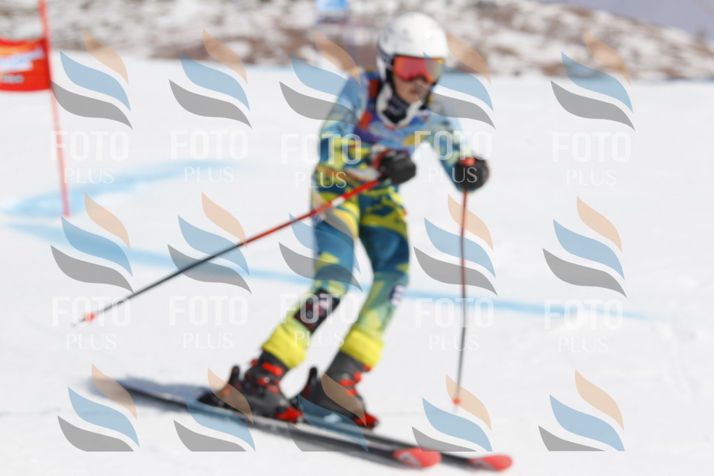 _U3G1289 | holidayphoto