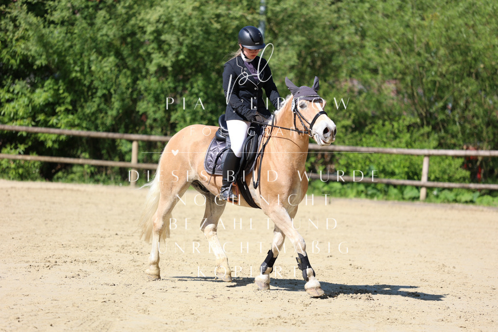 IMGS4420 | pl-fotografie