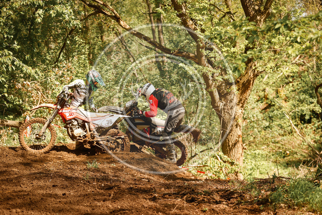 RottlebenIGE25_Lauf2-309 | koppe-media