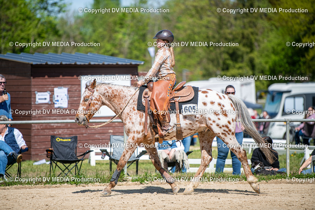 Heiligenwald Tag 3-1805 | dv-media-shop - Realisiert mit Pictrs.com