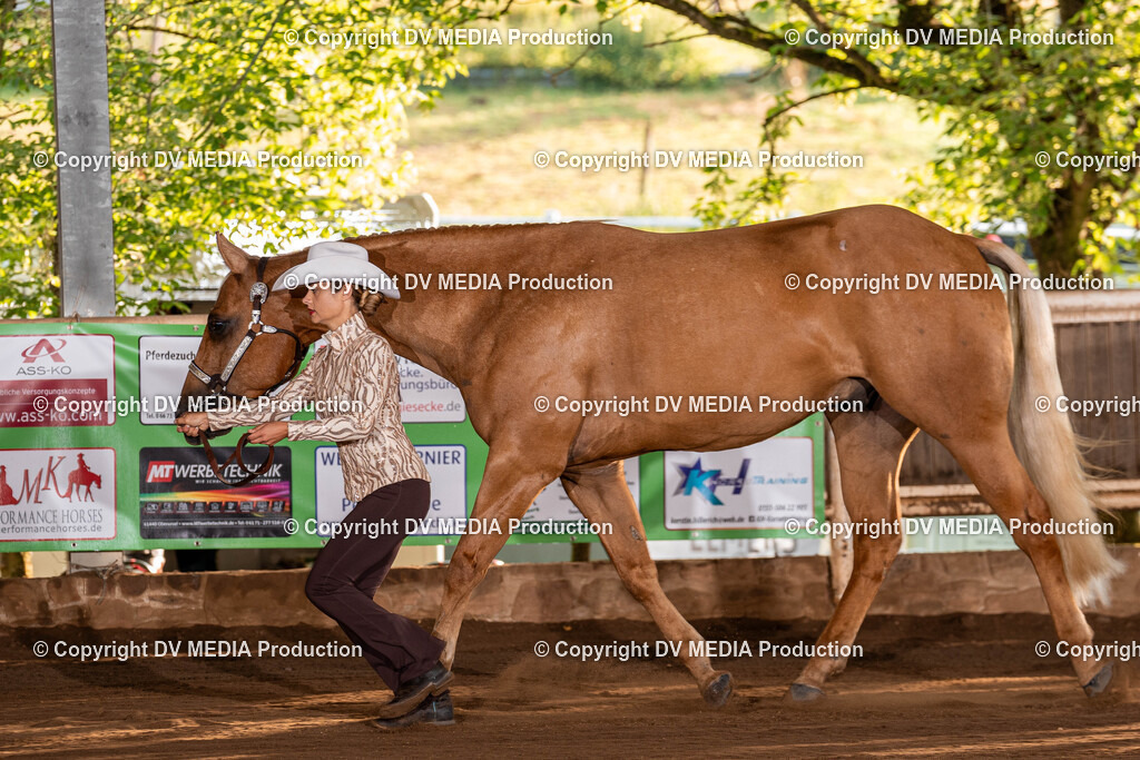 Erbach Tag 3-45 | dv-media-shop - Realisiert mit Pictrs.com