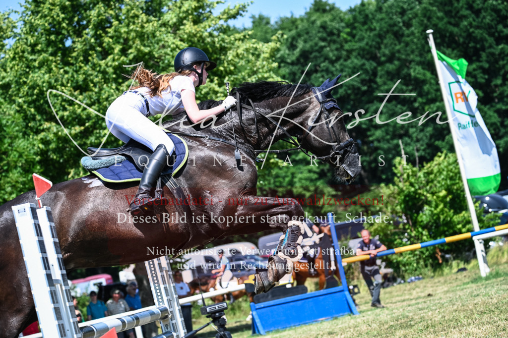 DSC_0965 | Pferde- und Turnierfotografie in Westsachsen. Pferdeportraits, Auftragszeichnungen und intuitive Kunst.