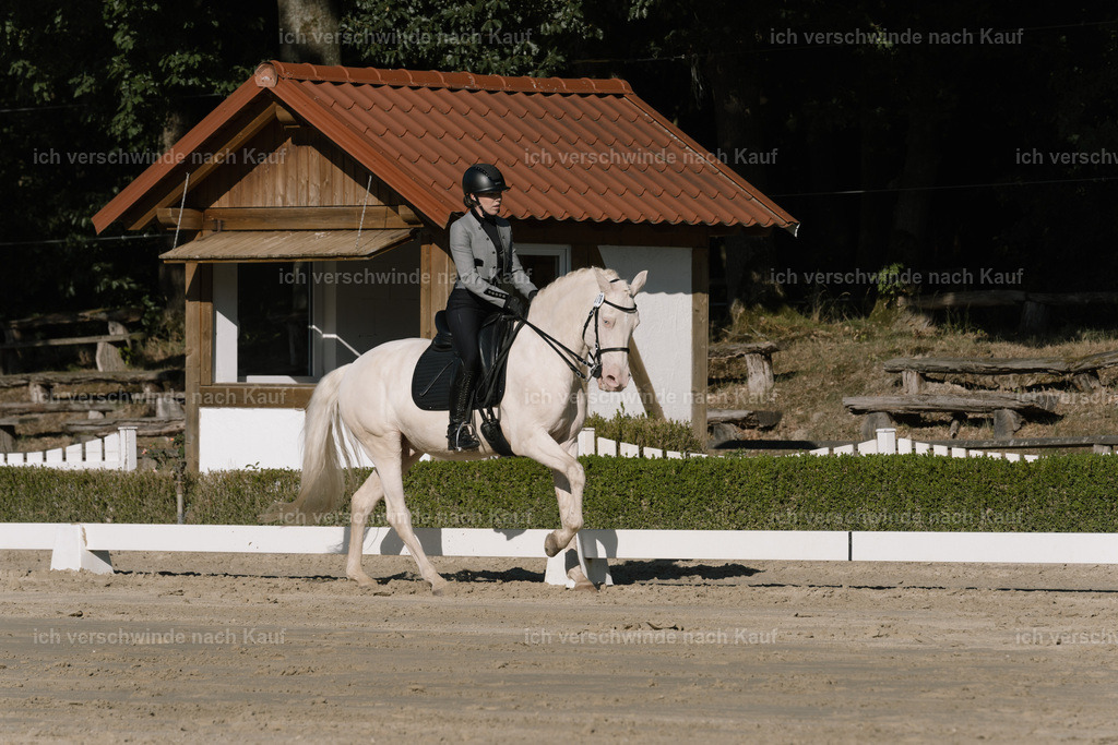 WM_DR_76_sinafilmart_IN04497 | working equitationturnier fotograf videograf stoibphotography marixx film working equitation deutschland reitsport turnierfotografie eventfotografie equestrian events