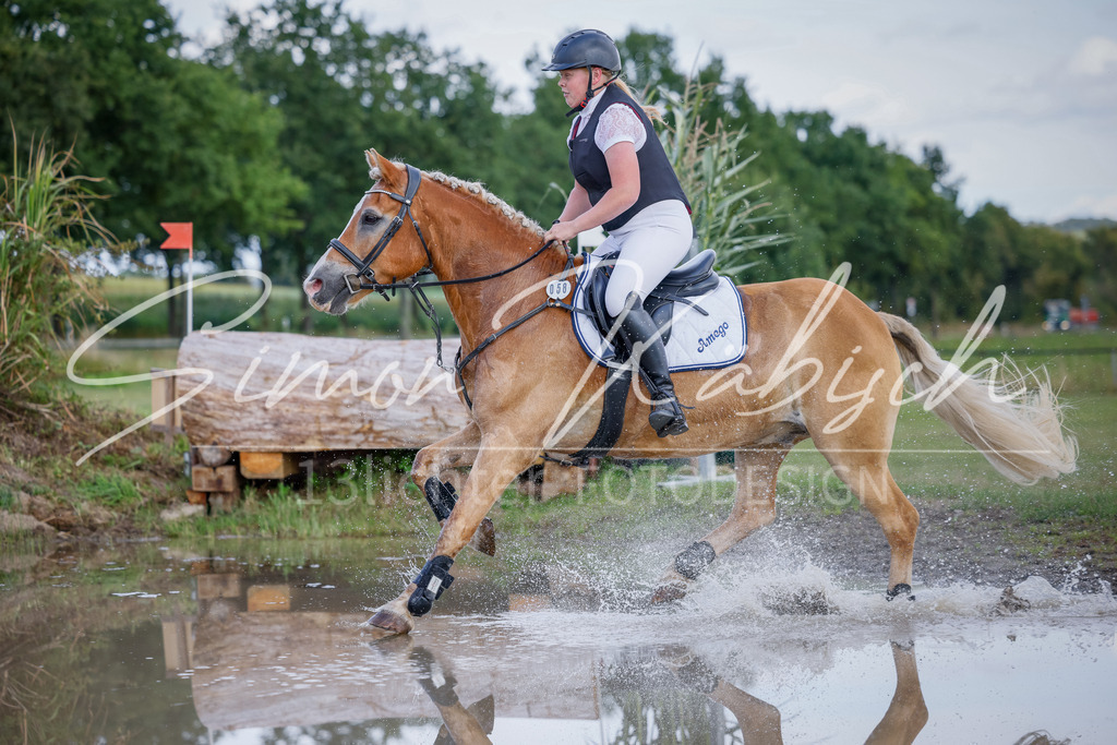 20250905-_3LI0505 | Tierfotografie Pferde, Hunde, Katzen, Haustiere.
Turnierfotografie Reitturniere, Reiten, Springreiten, Dressur in Hanau, dem Main-Kinzig-Kreis und dem Rhein-Main- Gebiet um Frankfurt
