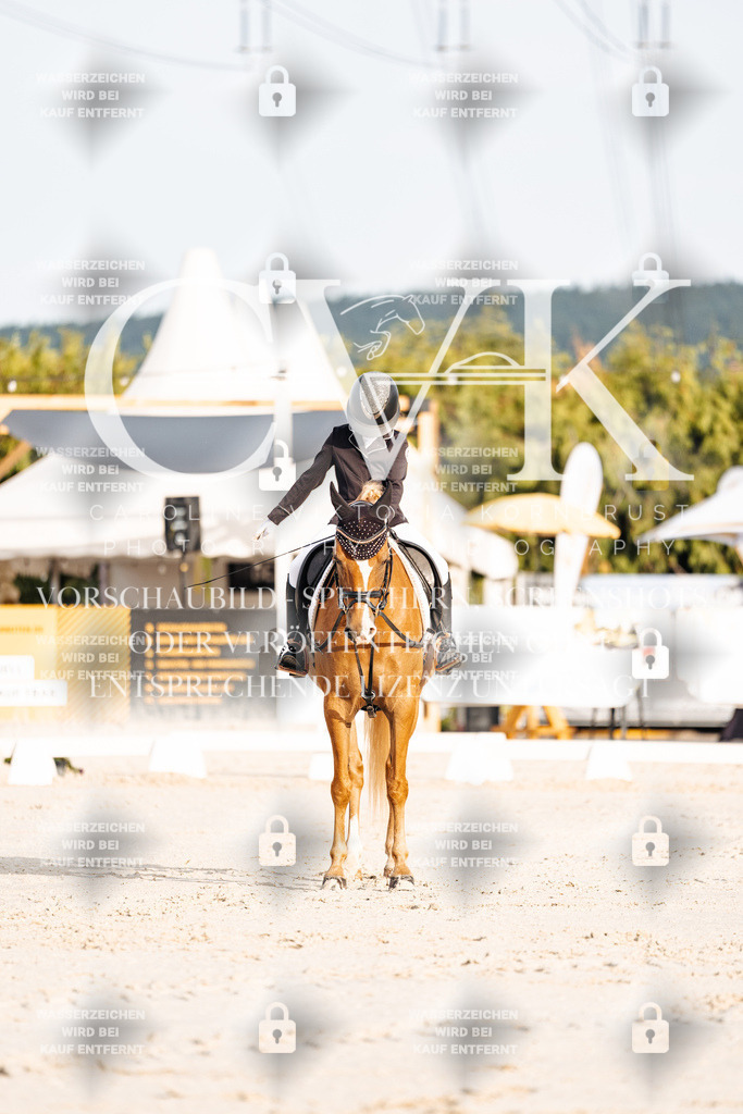 CK903729 | Turnierfotografie Pferdefotografie Trier Rheinland-Pfalz Pferdesport Reitsport Tierfotografie Sportfotografie Pferdevideo Pferdevideografie Equestrianvideography equestrianphotography  - Realisiert mit Pictrs.com