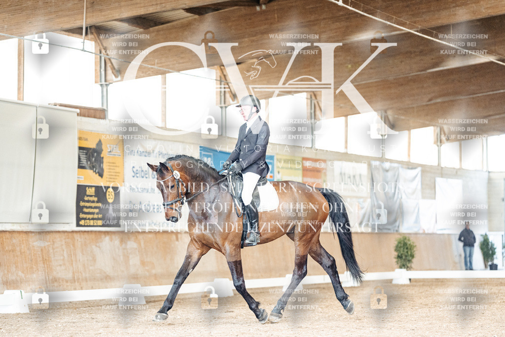 CK901262 | Turnierfotografie Pferdefotografie Trier Rheinland-Pfalz Pferdesport Reitsport Tierfotografie Sportfotografie Pferdevideo Pferdevideografie Equestrianvideography equestrianphotography  - Realisiert mit Pictrs.com