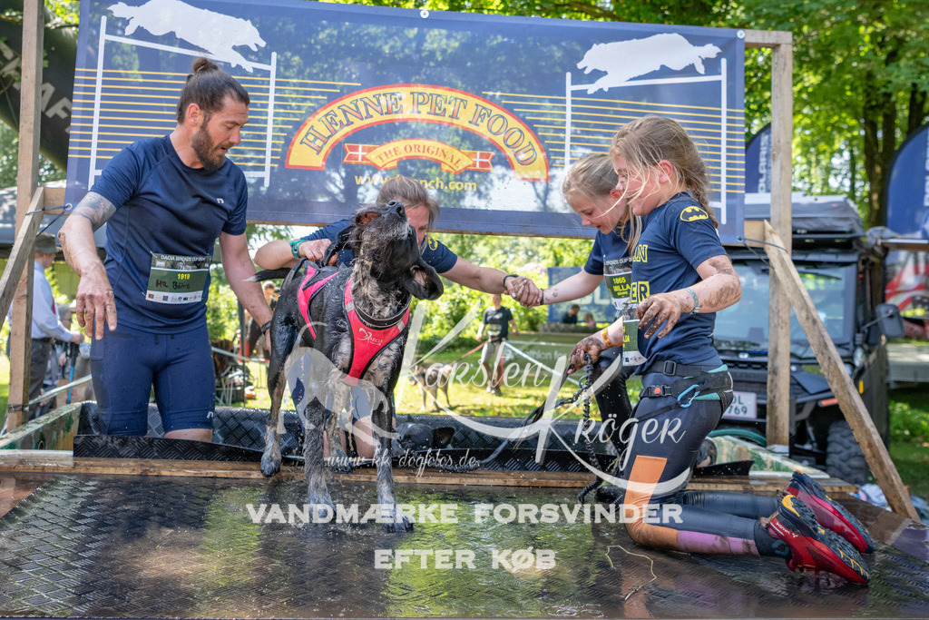 1357_ZZ92894 | kk-dogfotos