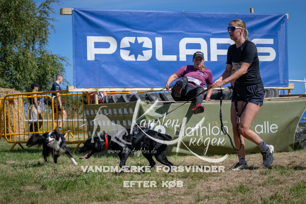1153_ZZ92831 | kk-dogfotos