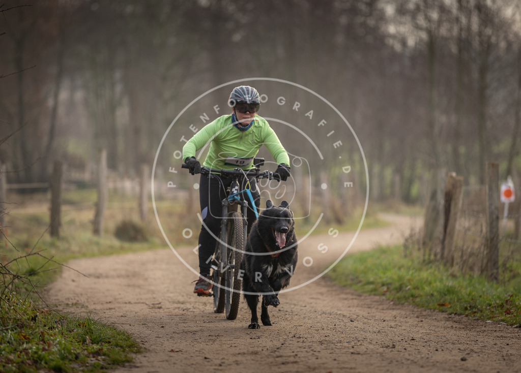 Pfotenfotografie_DV3A1938 | Hundefotografie, Tierfotograf, Pfotenfotografie, Fotoshooting Hund, Hunde Portrait, Hundesport, Hundeportraits, Heideshooting, Hunde, Sportfotograf, Hundefotograf, Turnierhundsport, THS,  - Realisiert mit Pictrs.com