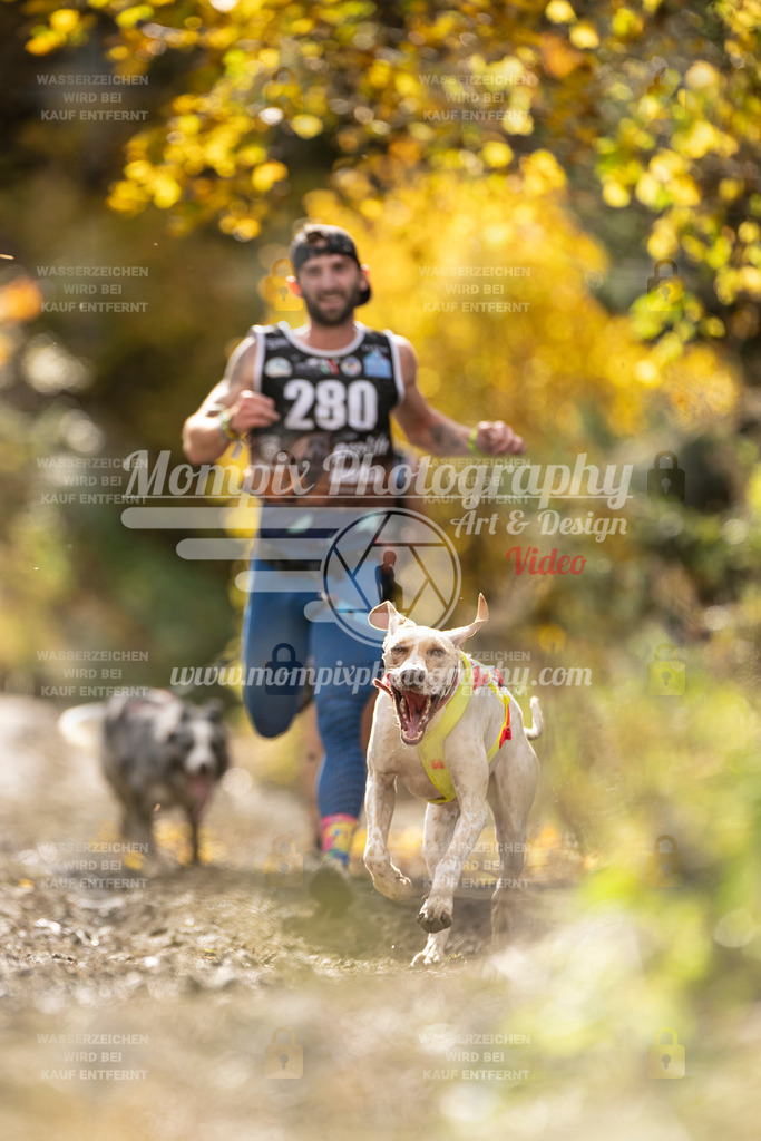 MompixPhotography_ICF_WC_2024_SA_Run_-90 | PayLife