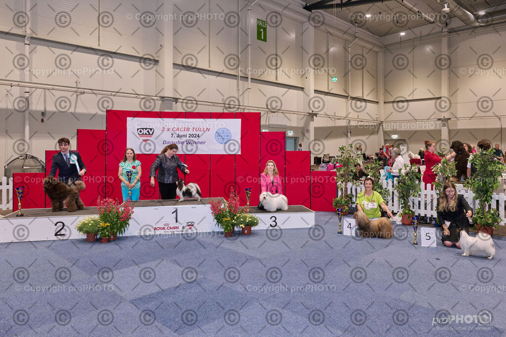 202406_ÖKV-IHA-Tulln24_NZ9_7883 | proPHOTO - Realisiert mit Pictrs.com