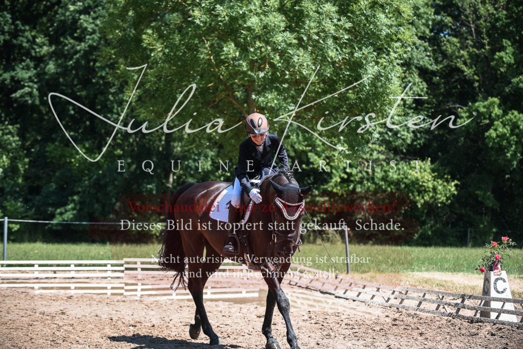 DSC_2838 | Pferde- und Turnierfotografie in Westsachsen. Pferdeportraits, Auftragszeichnungen und intuitive Kunst.