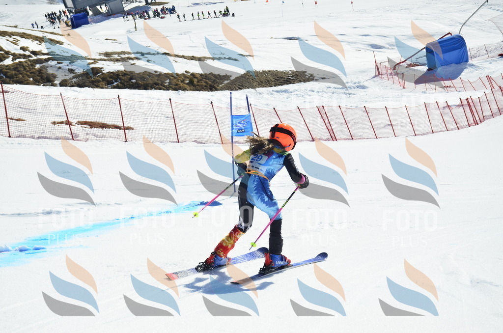 _ELE9968 | holidayphoto